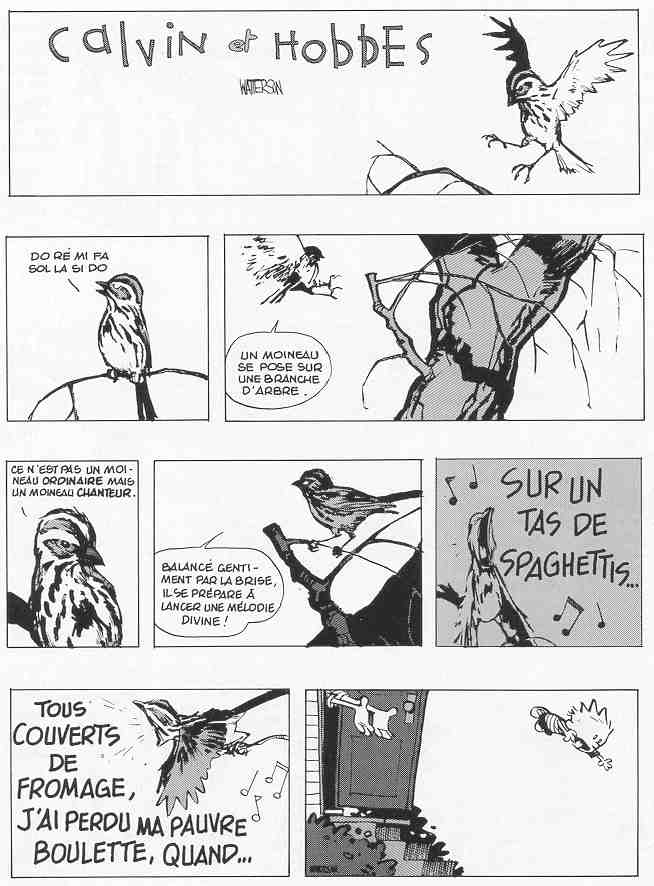 Oiseau
